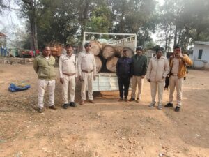 IMG-20240131-WA0429-300x225 इमारती लकड़ी सहीत पिकप जंगल विभाग किया धनवार सें जप्त