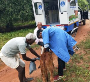 IMG-20260205-WA0736-300x274 दूरस्थ गांवों तक दस्तक दे रही मोबाईल पशु चिकित्सा इकाई