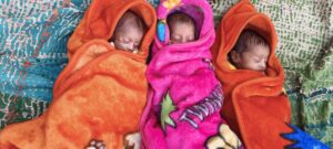 IMG-20260218-WA0649-300x135 जच्चा और तीनों नवजात स्वस्थ, ग्रामीण क्षेत्र में स्वास्थ्य जागरूकता पर जोर