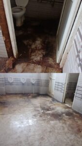 IMG-20260316-WA0669-169x300 सफाई के अभाव में कलेक्टर कार्यालय का बाथरूम बना कचरे का ढेर, जिम्मेदारों की कार्यप्रणाली पर उठे सवाल